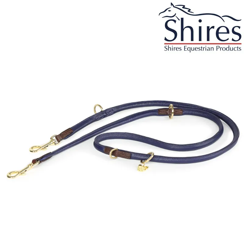 Digby and Fox Rolled Leather Training Dog Lead - Purple